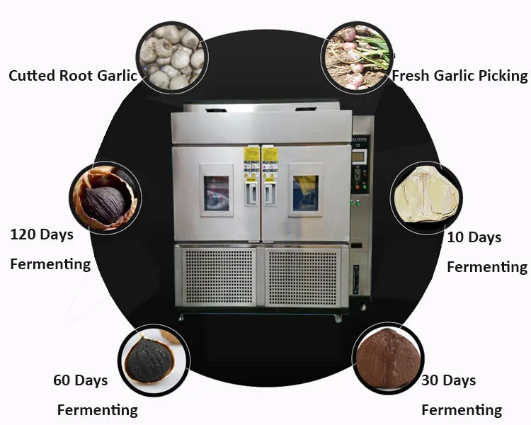 product-750-600 product-750-600