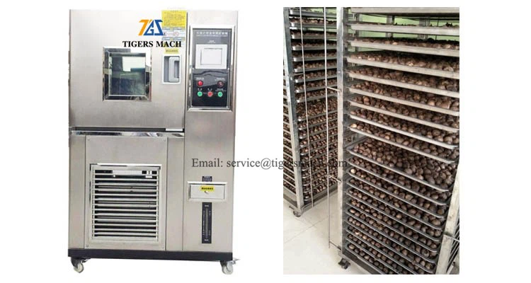 product-750-400 product-750-400