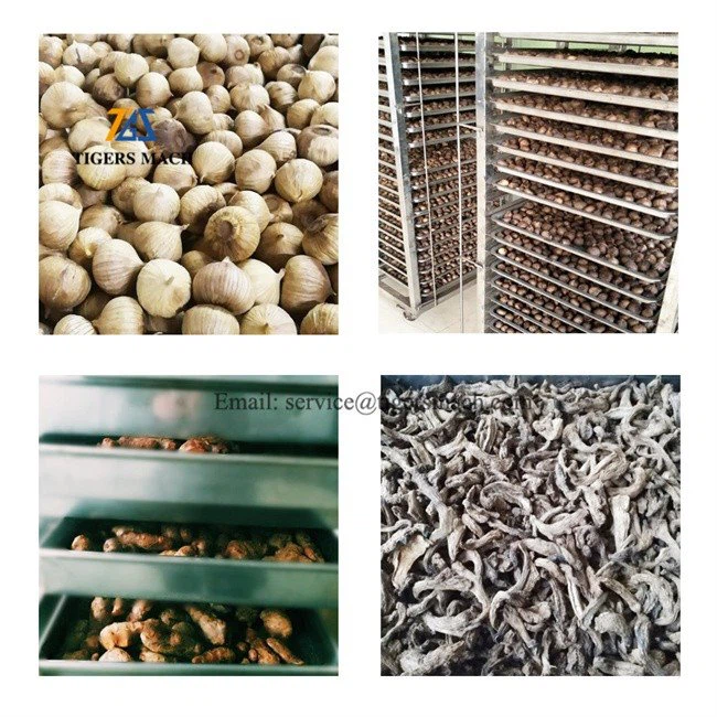 Industrial garlic fermenting machine from black garlic maker machine (4)