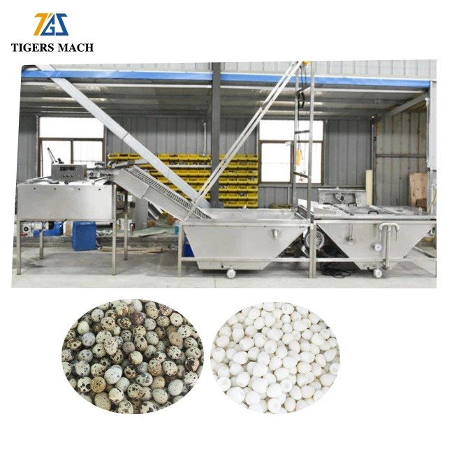 Economic Cooked Quail Egg Processing Plant