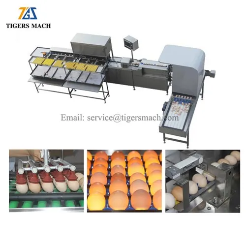 Elektron tuxum gradusli mashina